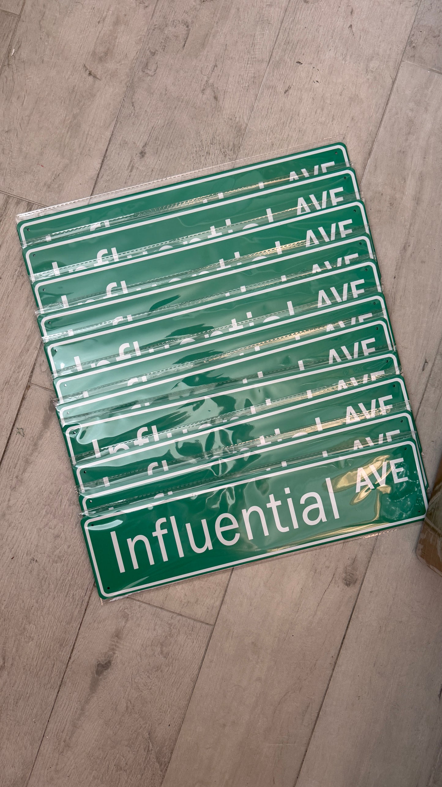 Influential AVE Street Sign